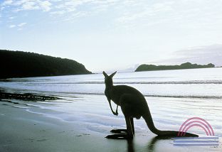 Was sind die Vorteile einer Auswanderung nach Australien?